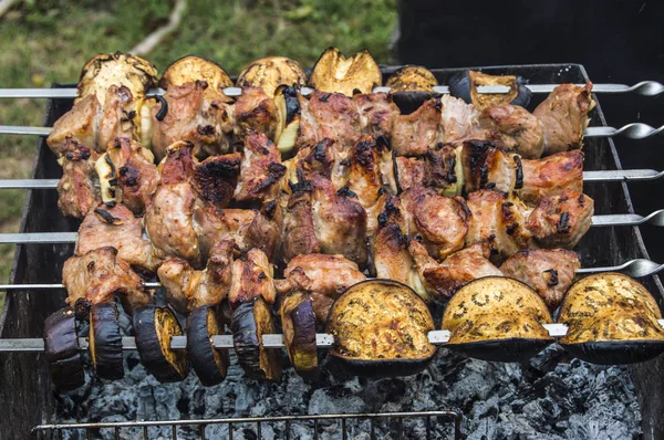 Kebab Cooked Nature — Stock Photo, Image