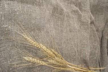 spikelets buğday çuval bezi üzerinde