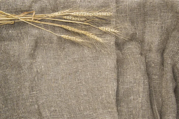 Spikelets Wheat Burlap — Stock Photo, Image