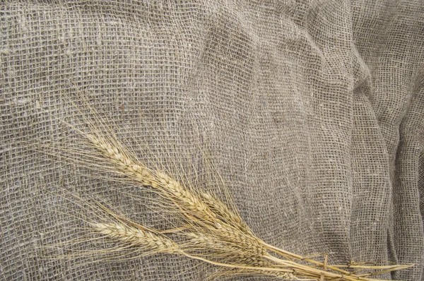Spikelets Wheat Burlap — Stock Photo, Image