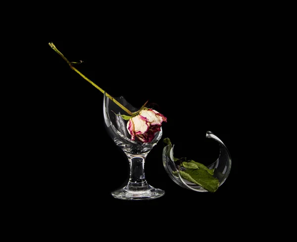 Розбите скло і квітка на чорному фоні — стокове фото
