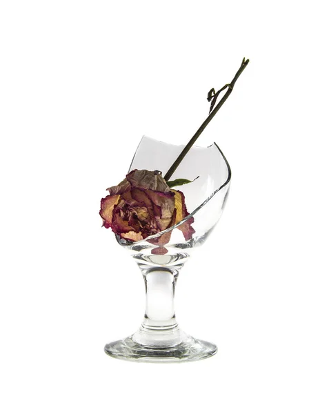 Σπασμένο γυαλί και λουλούδι — Φωτογραφία Αρχείου