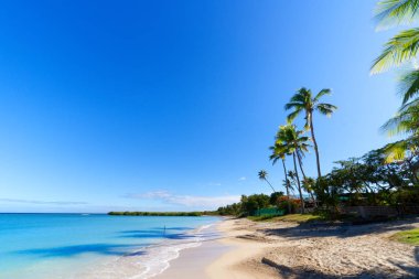 Fiji sahil beyaz kum plaj ile küçük adadan