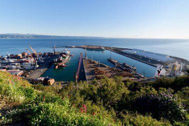 The Port of Napier viewed from Bluff Hill clipart
