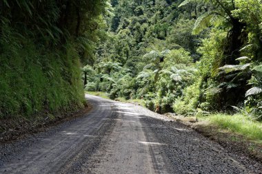 Yalnız doğal karayolu ile tarım arazileri Taranaki, Yeni Zelanda