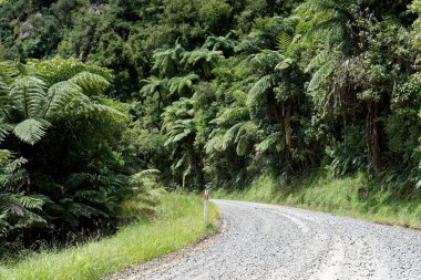 Yalnız doğal karayolu ile tarım arazileri Taranaki, Yeni Zelanda