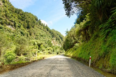 Yalnız doğal karayolu ile tarım arazileri Taranaki, Yeni Zelanda