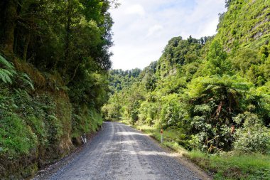 Yalnız doğal karayolu ile tarım arazileri Taranaki, Yeni Zelanda