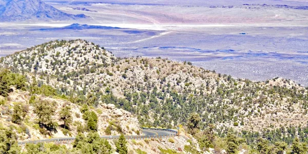 Affacciato Sulla Valle Lucerna California Con Arbusti Primo Piano — Foto Stock