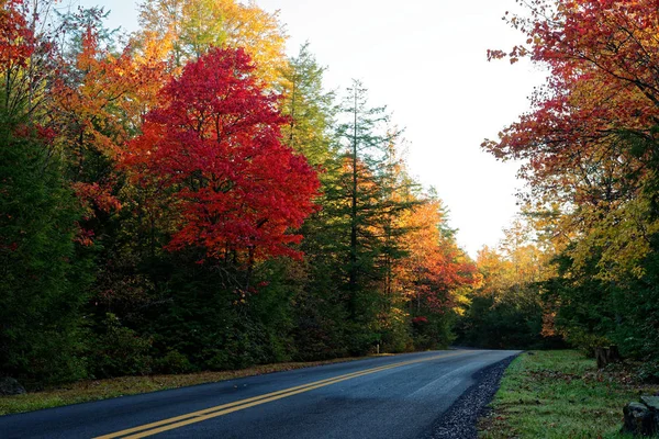 秋にウェスト バージニア州の道路沿いの木々 — ストック写真