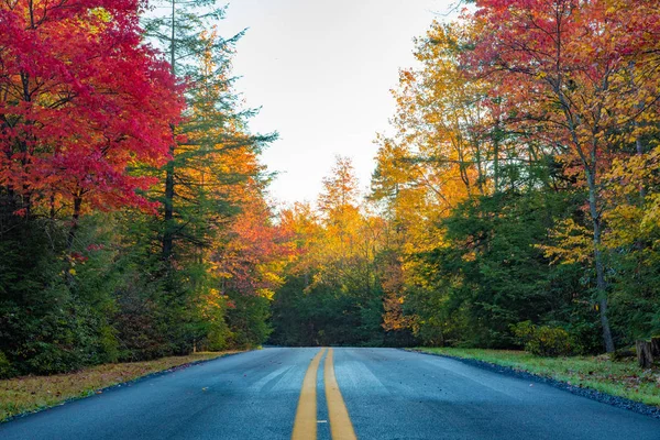 Bir iki şeritli bir yol karasu Falls State Park ile sonbahar sırasında