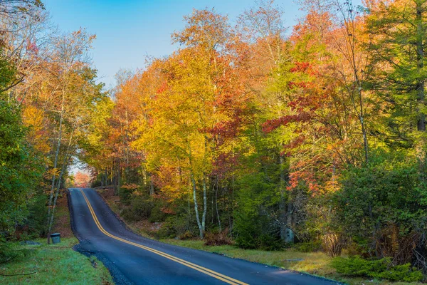 Eine Zweispurige Straße Durch Blackwater Falls State Park Herbst — Stockfoto