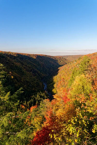 Vista Лінді Точки Блекуотер Falls State Park Восени — стокове фото