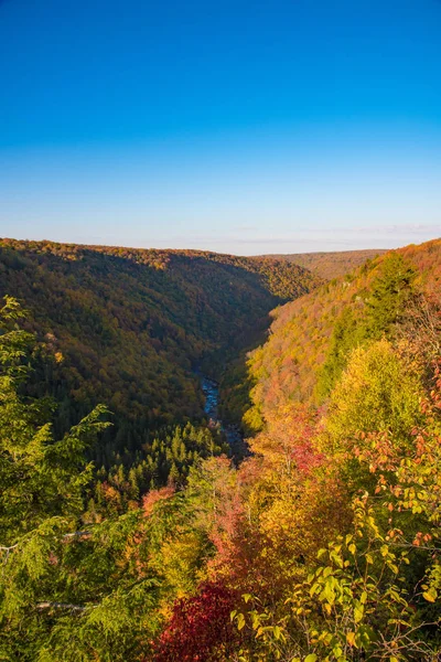 Виходять Блекуотер Falls State Park Західна Вірджинія — стокове фото