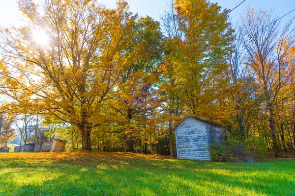 Ein Alter Verlassener Bauernschuppen Umgeben Von Herbstlaub — Stockfoto