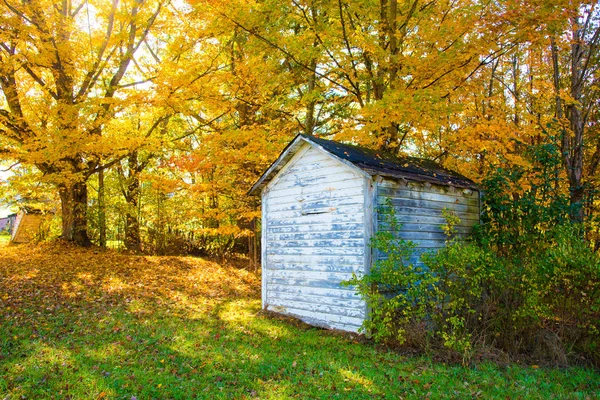 Ein Alter Verlassener Bauernschuppen Umgeben Von Herbstlaub — Stockfoto