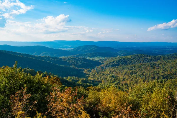 Shenandoah Milli Parkı, orman manzaralı