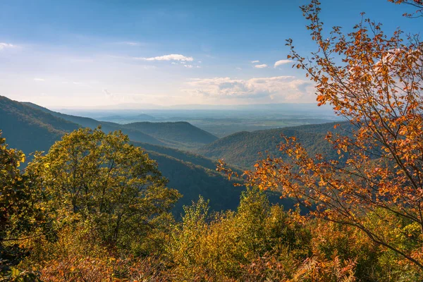 Com Vista Para Floresta Parque Nacional Shenandoah — Fotografia de Stock