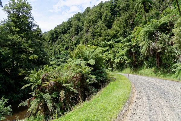 Yalnız doğal karayolu ile tarım arazileri Taranaki, Yeni Zelanda