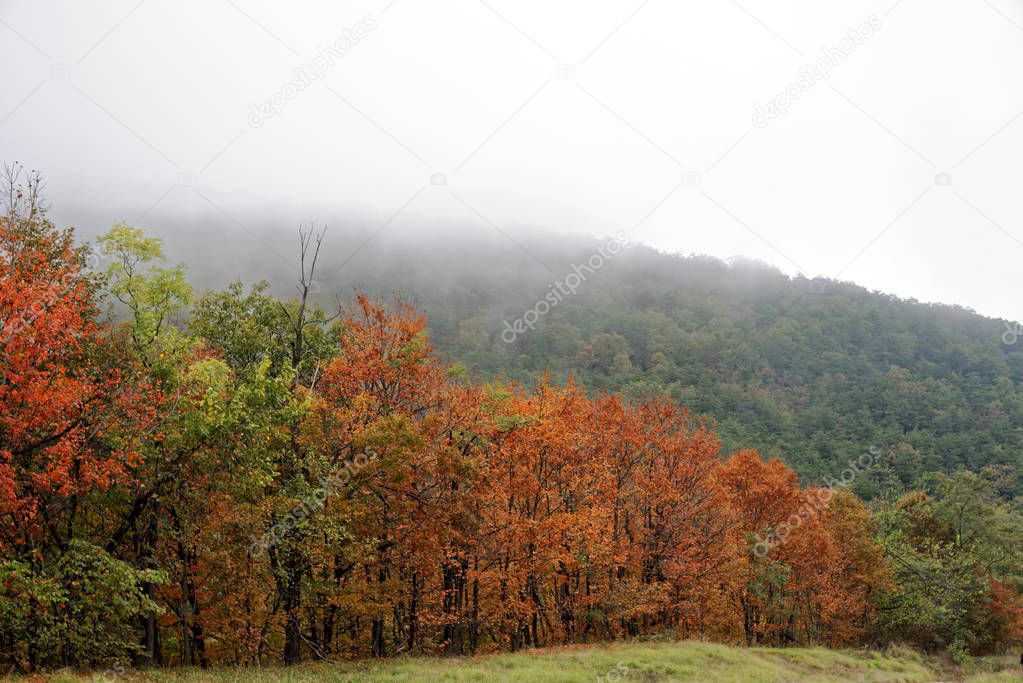 Fall Foliage in West Virgina, USA