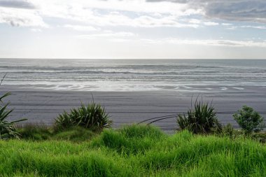 Siyah kum plaj deniz kıyısından Taranaki, Yeni Zelanda