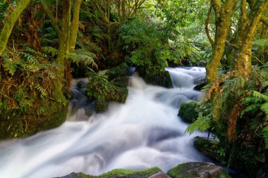 Bir nehir boyunca South Waikato, Yeni Zelanda'da Te Waihou geçit uzun pozlama