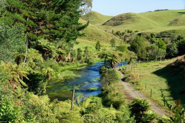 Tipik North Island, Yeni Zelanda sahne çevrili Nehri