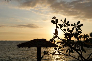 Pasifik Okyanusu üzerinden güneş ayarı