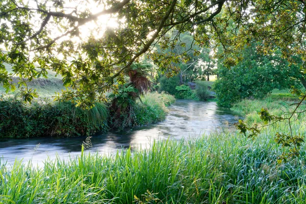 Nehir boyunca Te Waihou Blue Springs geçit Güney Waikato'deki/daki oteller