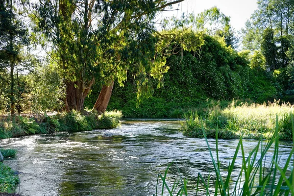 Tipik North Island, Yeni Zelanda sahne çevrili Nehri