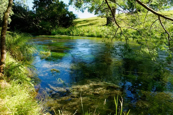 河流环绕着典型的北岛 新西兰的风景 — 图库照片