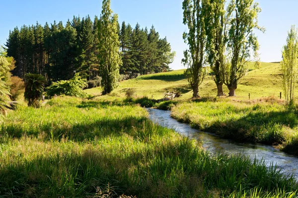 Tipik North Island, Yeni Zelanda sahne çevrili Nehri