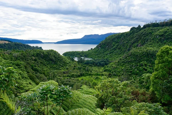 Rotorua Dışında Tarawera Yol Boyunca Uyanık — Stok fotoğraf