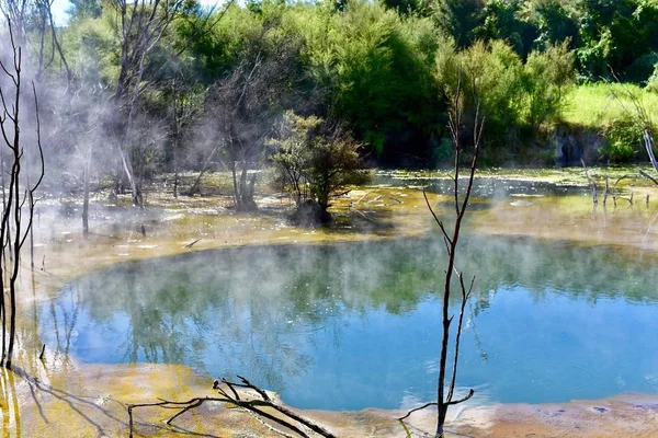 Geothermische Park Centraal Rotorua — Stockfoto