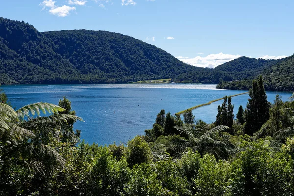 Mavi Göl Kenarında Rotorua — Stok fotoğraf