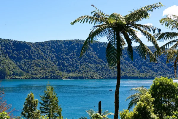 Lago Azul Perto Rotorua — Fotografia de Stock