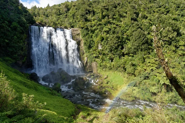 Marokopa Falls Pobliżu Waitomo Nowa Zelandia — Zdjęcie stockowe