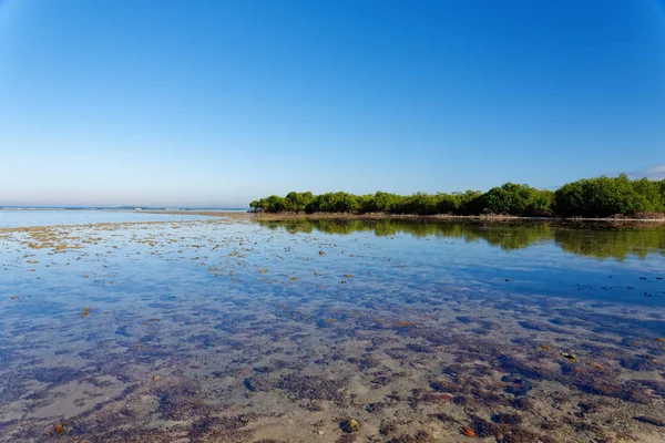 NET yansıtıcı deniz suyu: Viti Levu, Fiji Adaları