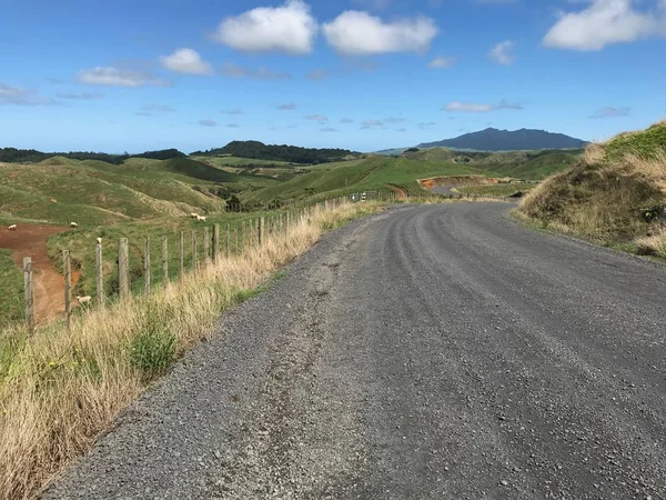 Grind Pad Door Landbouwgrond Nieuw Zeeland — Stockfoto