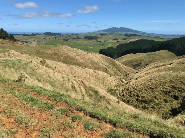 Vista Campo Nova Zelândia — Fotografia de Stock
