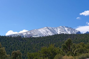 Jeff Davis pik sonbahar renkleri