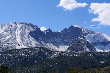 Wheeler Peak büyük Havzası Milli Park, Baker, Nevada