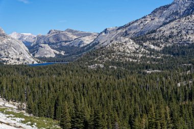 Yosemite Milli Parkı 'ndaki Tenaya Gölü