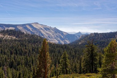 Olmsted Point Yosemite Milli Parkı, California