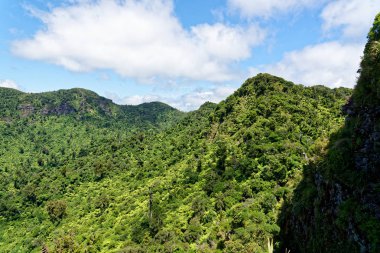 Vista Mt Pirongia zirve yakınındaki Yeni Zelanda'da