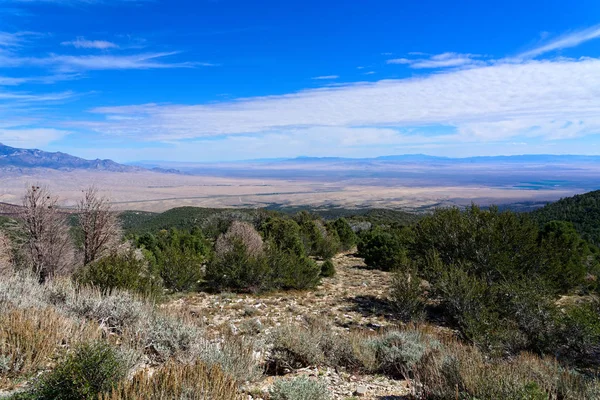 Con Vistas Desierto Mojave Nevada —  Fotos de Stock