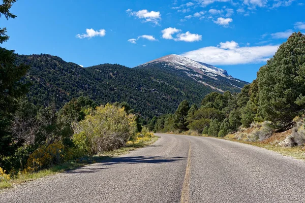 Scenic Byway Genom Great Basin Nationalpark Nevada — Stockfoto