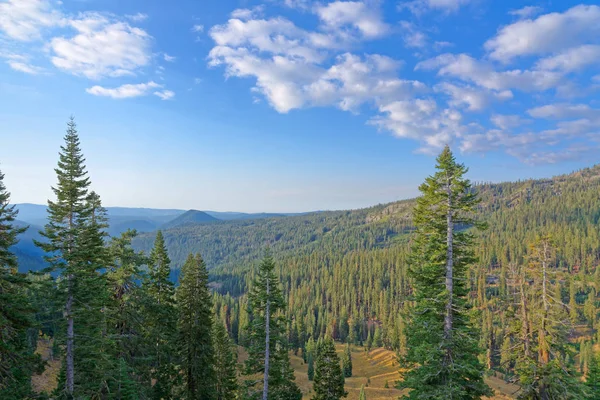 ラッセン火山国立公園 カリフォルニア州の針葉樹林を見下ろす — ストック写真