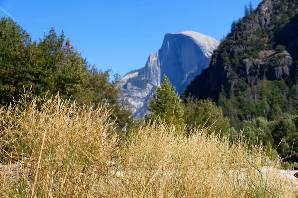 Lembah Yosemite Dengan Rumput Emas Tinggi Dengan Tebing Granit Latar — Stok Foto