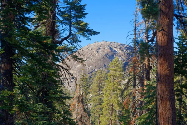 Sentenial Dome Sierra Nevada — Stock Photo, Image